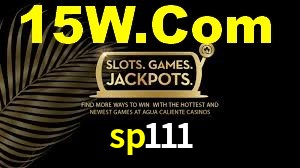 sp111.com