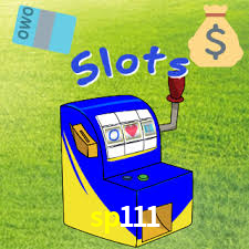 sp111.com